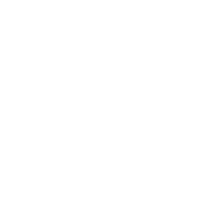 featuresIcons