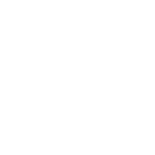 featuresIcons