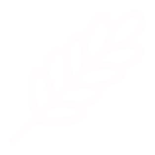 featuresIcons