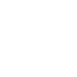 featuresIcons